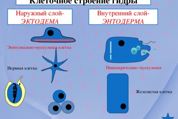 Кракен сайт как зайти