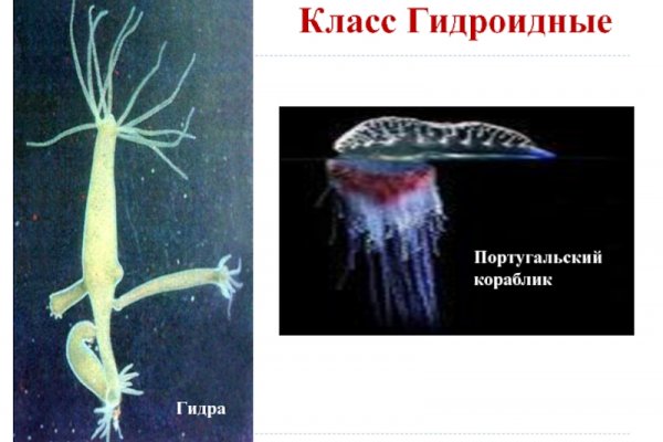 Kraken market ссылка тор