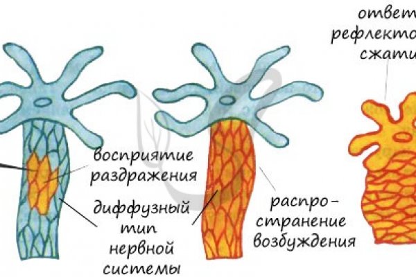 Кракен рабочее зеркало