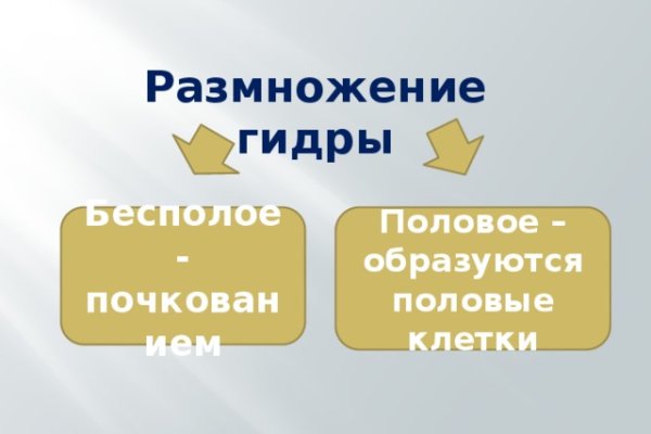 Пользователь не найден при входе на кракен