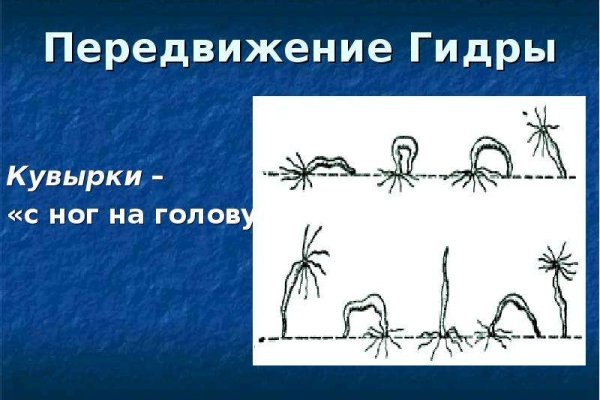 Kraken сайт покупок