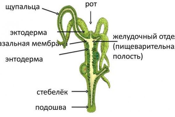 Угнали аккаунт кракен